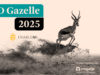 Enablemi is uitgeroepen tot de FD Gazellen 2025! - Enablemi